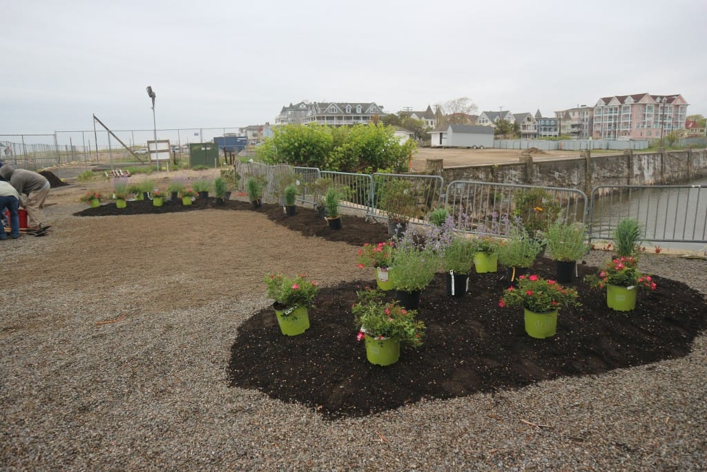 Ocean Grove Community Garden Neptune Township